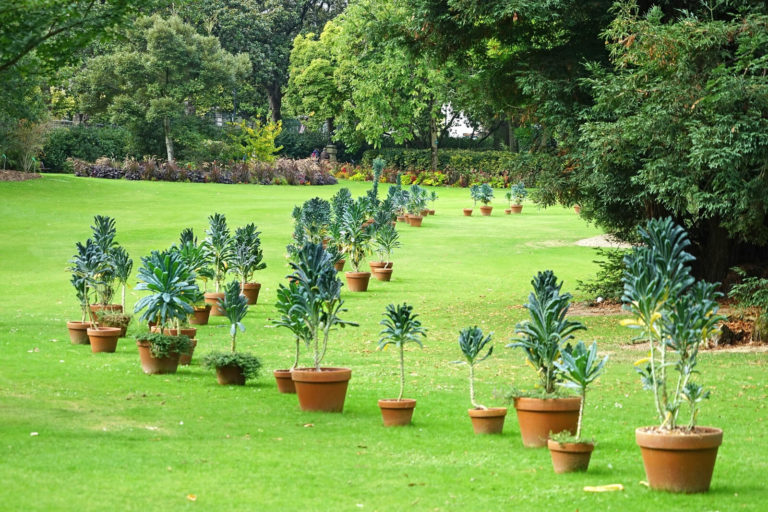 Avoir un beau jardin