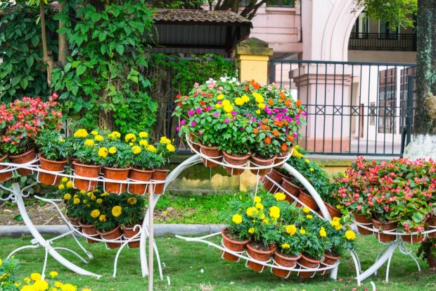 aménager et décorer son jardin