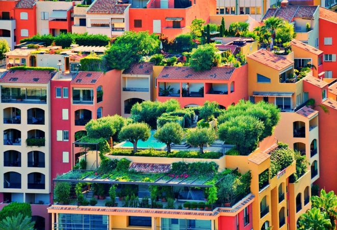 terrasse végétalisée