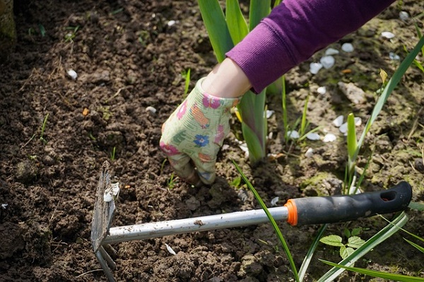 Nettoyage outils de jardin