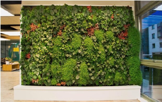 décorer sa maison avec des murs de plantes