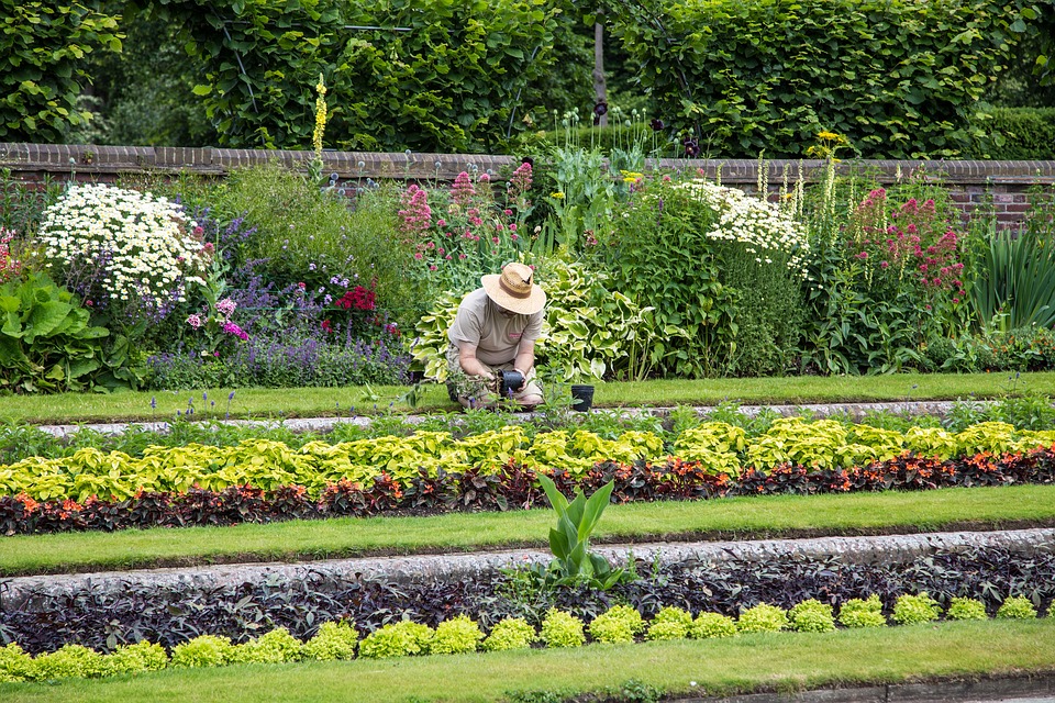 Entretien de son jardin