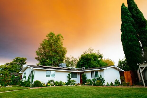 immobilier ecologique