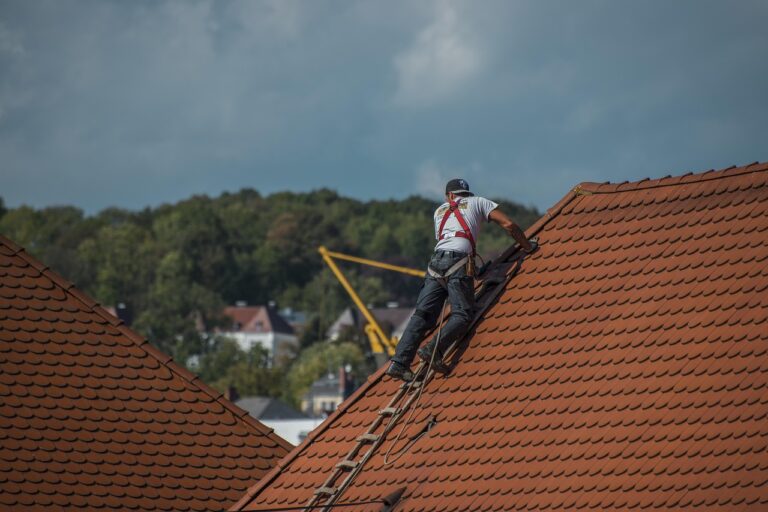 Les différents produits Onduline pour les projets des particuliers
